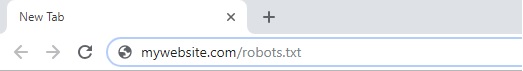 Robots.txt URL format