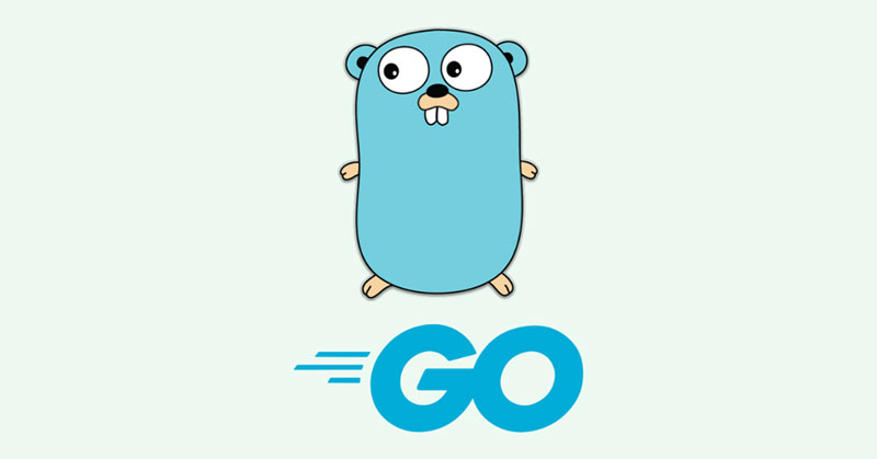 overview of Go