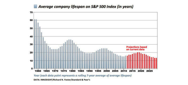 Average Company Lifespan